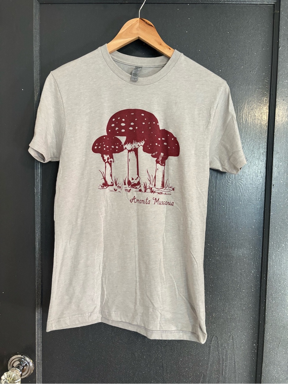 Light tan Amanita Muscaria Graphic Tee - Burgundy Print